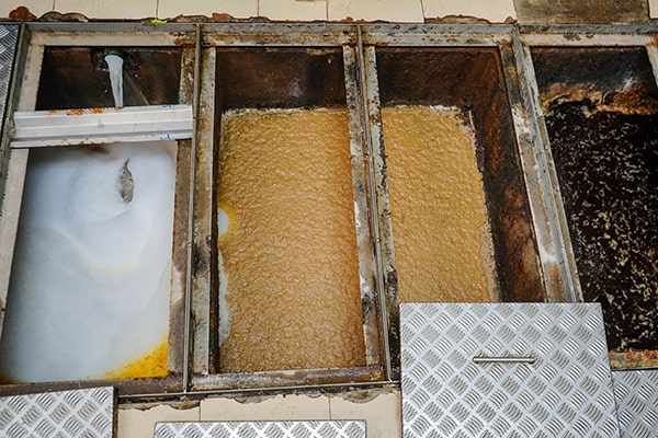 professional grease trap maintenance includes thorough cleaning, inspection, and disposal of collected grease and solids